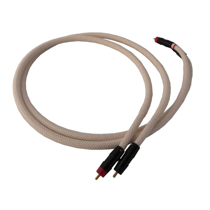 Aktyna SCM Cortex Master Reference RCA