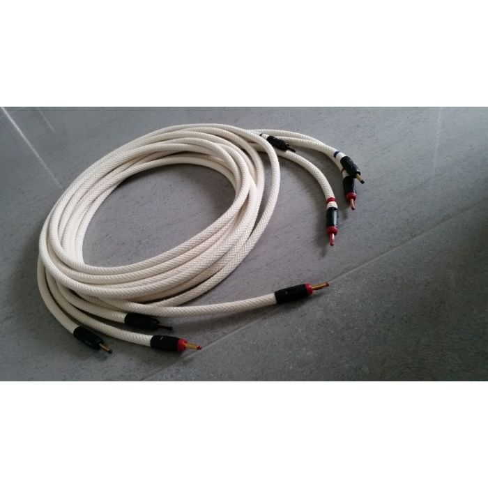 Aktyna_SCM_CortexMasterReference_HP