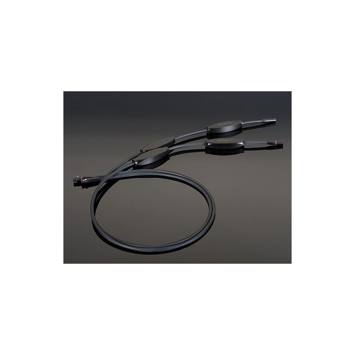 Transparent Reference XL Balanced Interconnect