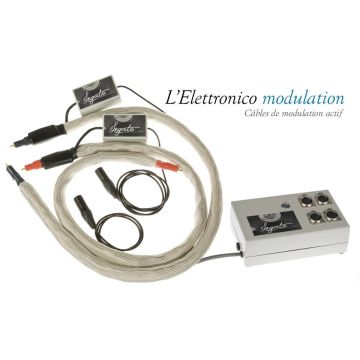 Legato Elettronico modulation RCA-RCA avec boitier d'alimentation