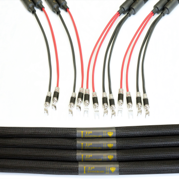 Purist Audio Design Diamond 35th Anniversary Speaker