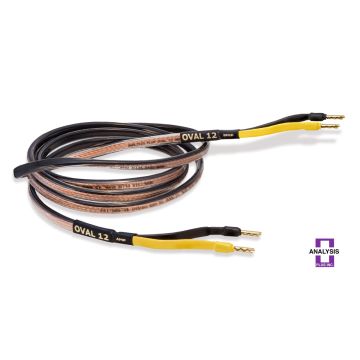 ANALYSIS PLUS Black Oval 12