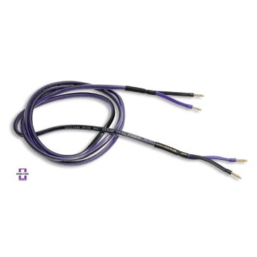 ANALYSIS PLUS Clear Oval HP