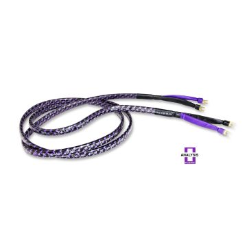 ANALYSIS PLUS Solo Crystal Oval 8