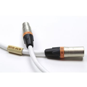 Actinote  Digit Aria XLR EVO II
