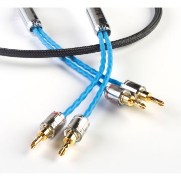 Siltech Classic Anniversary 770L Banana SB007