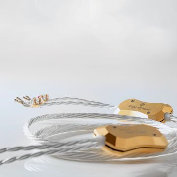 Crystal Cable Da Vinci Speaker