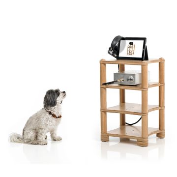 Entreq Wilma Level 1