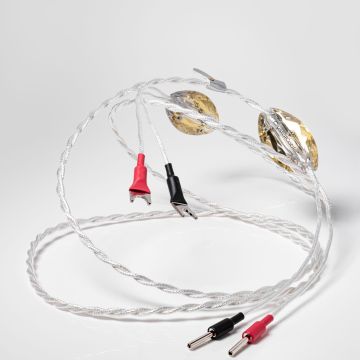 Crystal Cable Future Dream 22 Speaker