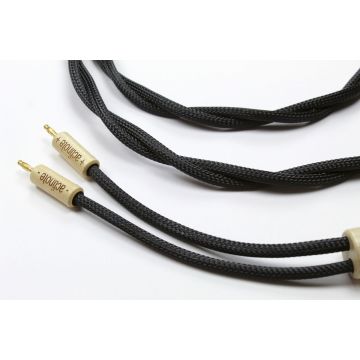 Actinote  Mezzo EVO II HP