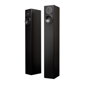 Totem Acoustic Arro